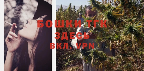mix Богородск