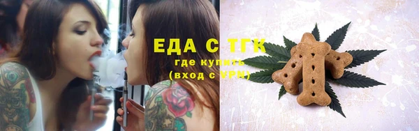 mdpv Бородино