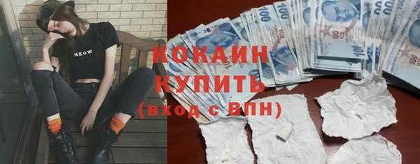 кокс Белокуриха