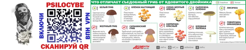 Галлюциногенные грибы мицелий купить закладку Камызяк