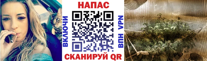 МАРИХУАНА конопля  наркота  Камызяк 